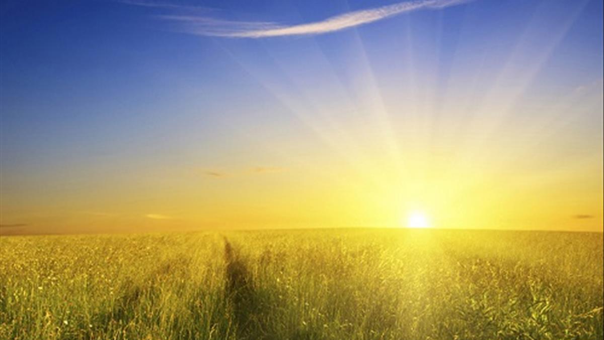 Hình ảnh Ánh Sáng Mặt Trời Hiệu ứng ánh Sáng Vàng PNG Miễn Phí Tải Về -  Lovepik