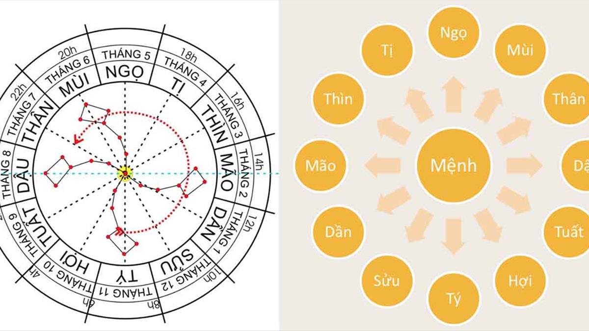 Đối Cung Trong Tử Vi: Khám Phá Bí Ẩn Vận Mệnh và Cách Ứng Dụng Trong Cuộc Sống