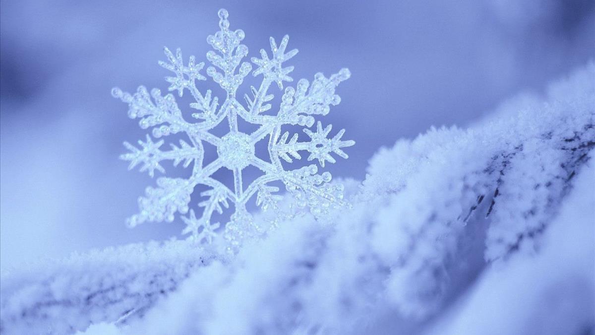 Mơ thấy tuyết: Biểu tượng lạnh lẽo dễ bị mọi người cô lập