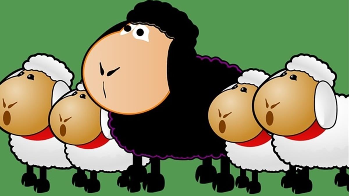 Có phải cừu đen trong gia đình là người gánh nghiệp?