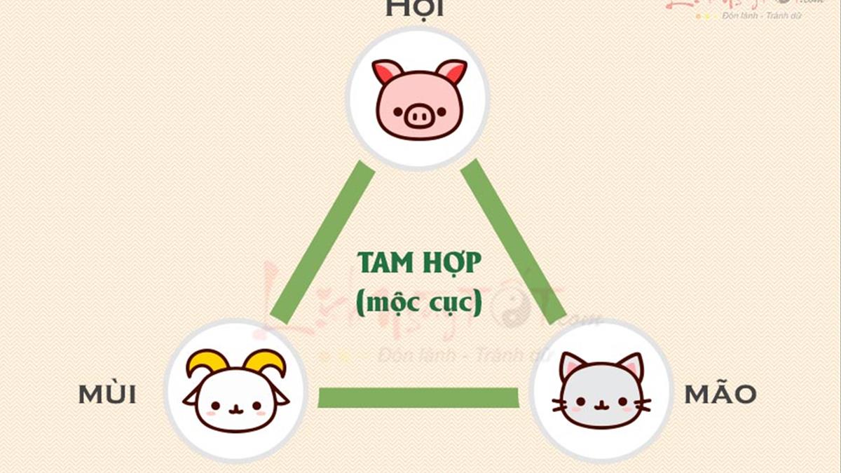 4. Lợi Ích và Thách Thức Khi Thuộc Tam Hợp Hợi Mão Mùi