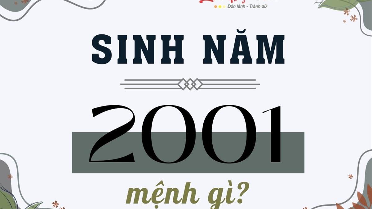 Người sinh tháng 11 năm 2001 hợp màu gì?