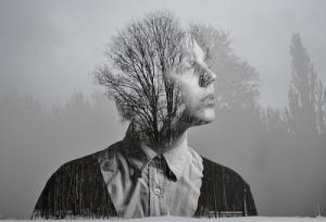 3 chòm sao rơi từ hành tinh khác xuống Trái Đất