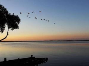 Luận giải lá số Liêm Trinh đóng tại cung