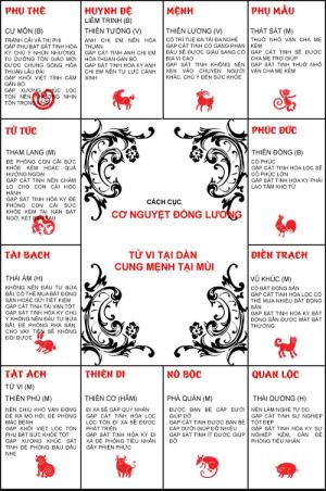 Luận giải lá số Thiên Cơ đồng cung