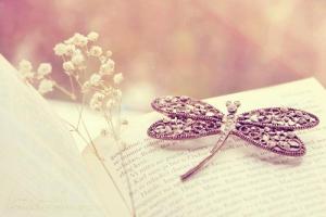 Tử vi thứ Ba của 12 con giáp (20/10/2015)