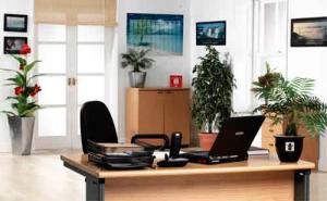 Phong thủy tốt cho phòng làm việc của kế toán