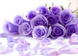 Tử vi thứ Bảy của 12 con giáp (24/10/2015)