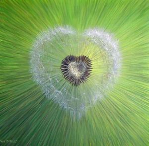 Tấm lòng thiện lương của chòm sao Xử Nữ