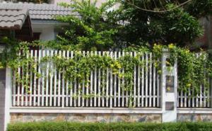 Phong thủy cho hàng rào (phần 1)