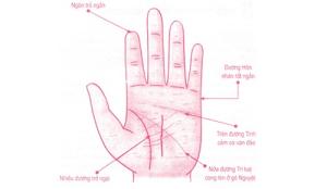 Bàn tay của người luôn bị tình đơn phương đeo đẳng