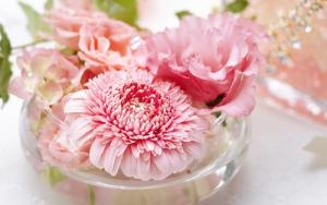 Tử vi thứ Sáu của 12 con giáp (30/10/2015)