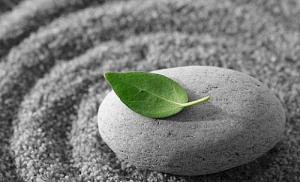 Tìm hạnh phúc trong cái "vô thường" của Phật giáo