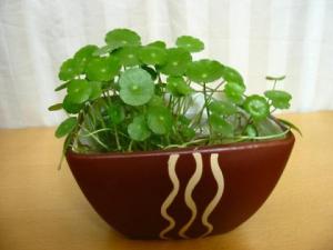 Infographic: Những đồ vật "tử hình" sự nghiệp của bạn