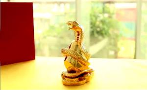 Ý nghĩa biểu tượng Rắn trong phong thủy