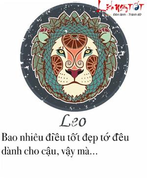 Infographic: Phản ứng của 12 cung hoàng đạo khi bị đá