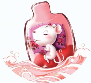 Tử vi sự nghiệp của tuổi Tý năm 2017