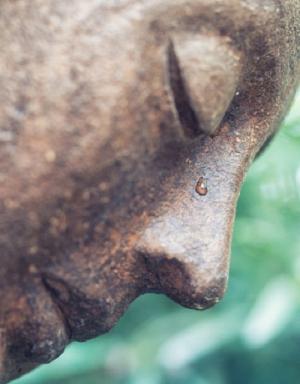 Hướng dẫn cách đọc kinh đúng chuẩn