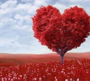 Tình yêu năm 2016 của chòm sao nhóm Đất