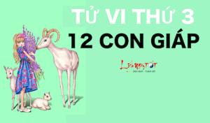 Tử vi thứ Ba của 12 con giáp (22/12/2015)