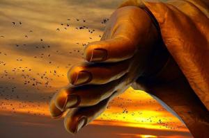 Vui sống với clip dạy cách buông bỏ phiền não