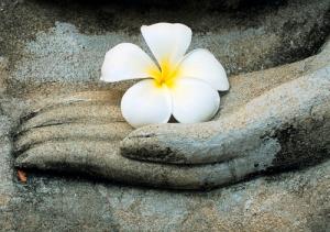 Clip chỉ cách cầu được ước thấy