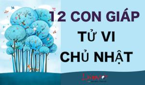 Tử vi Chủ Nhật của 12 con giáp (27/12/2015)