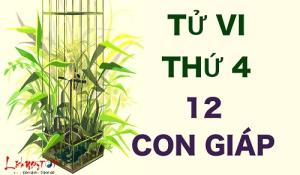 Tử vi thứ Tư của 12 con giáp (30/12/2015)