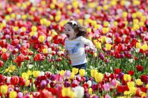 Hóa giải vận xấu cho 12 chòm sao năm 2016