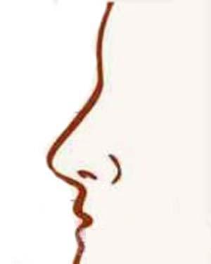 Đọc vị tình duyên, công danh nữ giới qua tướng mũi