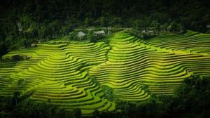 Đặt tên theo địa danh