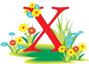 Tên vần X chọn thế nào cho tốt?