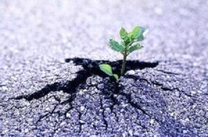 3 chòm sao "vững như núi" trước khó khăn