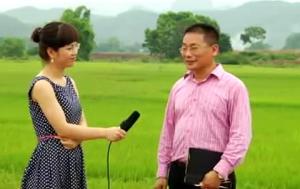 Phong thủy cho nhà trước khi xây (phần cuối)