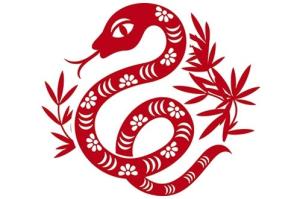 Vận thế năm Ất Mùi của người tuổi Tỵ