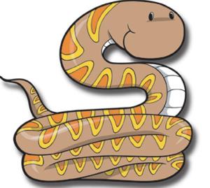 Đặt tên hay cho người tuổi Tỵ