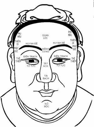 12 cung trong tướng mặt: Xem tướng mệnh đoán hung cát cuộc đời