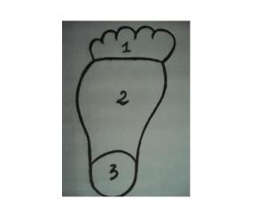 Các bộ vị trên bàn chân tiết lộ vận mệnh quá khứ, hiện tại và tương lai