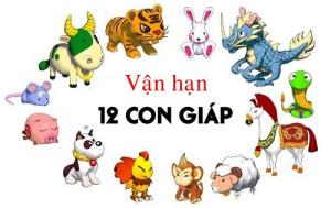 Sao chiếu mệnh và vận hạn năm Ất Mùi của 12 con giáp