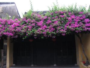 Hóa giải hung sát, gia trạch yên ổn (phần 4)