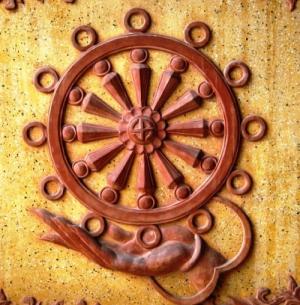 Những câu chuyện luân hồi chưa thể lý giải