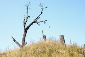 Xem hướng hình sát, bắt bệnh gia chủ