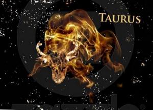 Sự nghiệp của người tuổi Tý thuộc cung Ma Kết