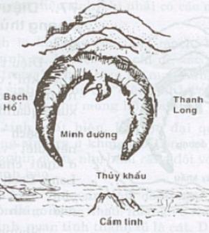 Cầm tinh trong phong thủy là gì?