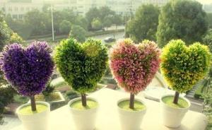 Tử vi thứ Bảy của 12 con giáp (13/6/2015)