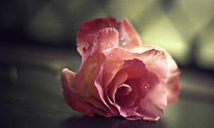 Nỗi buồn không ngỏ cùng ai của những cô nàng nhóm Đất