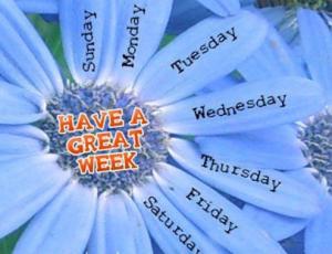 Tử vi tuần mới của 12 con giáp (19-25/10/2015)