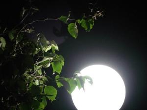 Từ đâu nên tích "trai mùng 1, gái hôm rằm"?