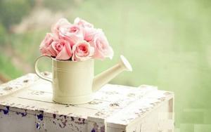 Tử vi thứ Tư của 12 con giáp (24/6/2015)