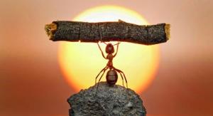 Học lỏm Thiên Yết "võ" để trở thành kẻ mạnh